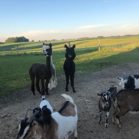 Agroturystyka Malary Pogodki Buitenkant foto